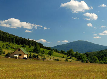 planina Goc